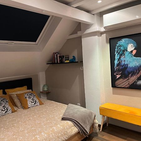 Charmant Duplex Privatise, Climatise, 2 Chambres Strasbourg Eksteriør billede