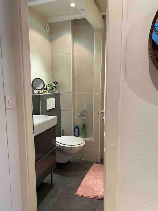 Charmant Duplex Privatise, Climatise, 2 Chambres Strasbourg Eksteriør billede