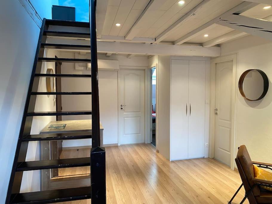 Charmant Duplex Privatise, Climatise, 2 Chambres Strasbourg Eksteriør billede