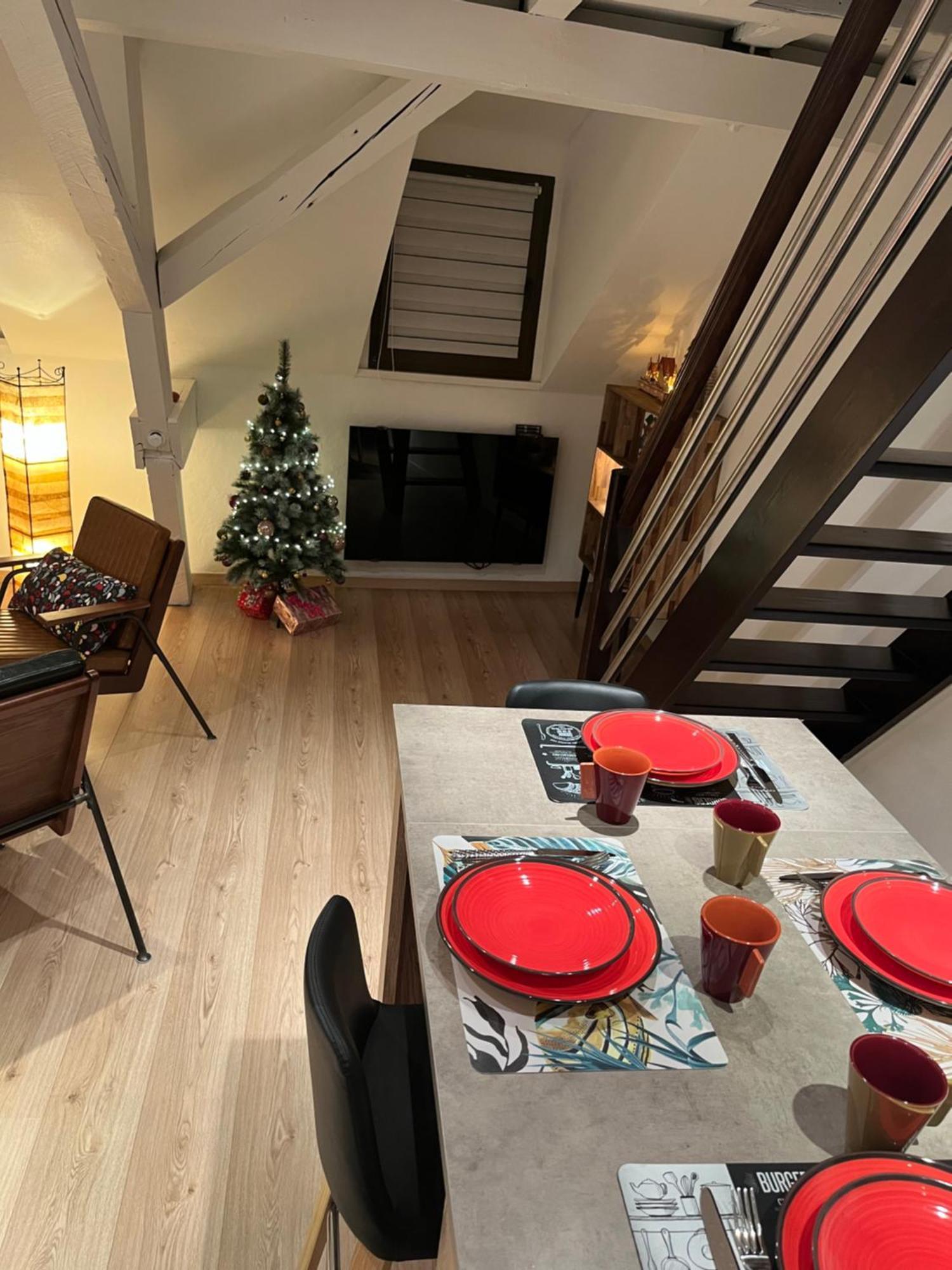 Charmant Duplex Privatise, Climatise, 2 Chambres Strasbourg Eksteriør billede