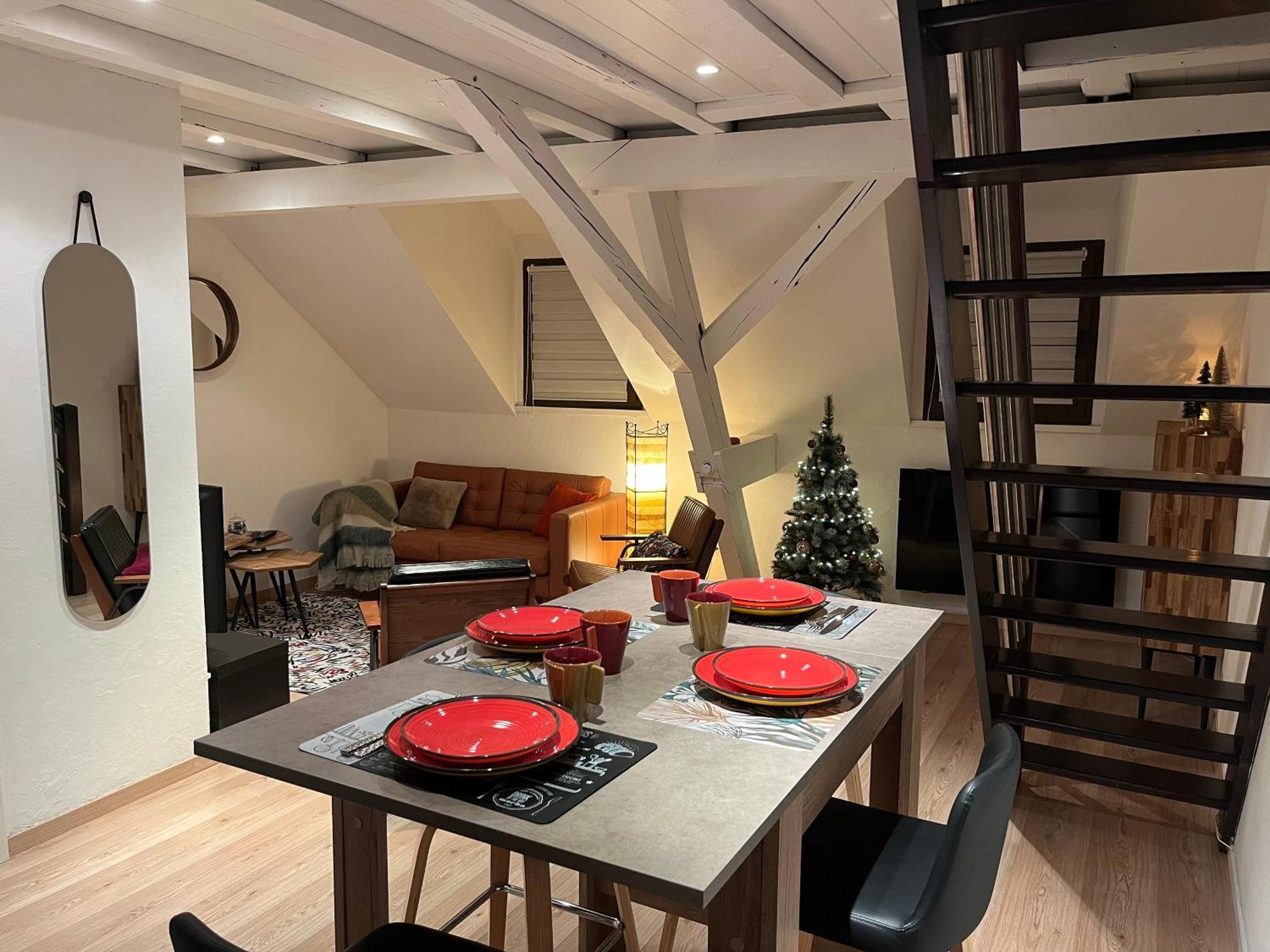 Charmant Duplex Privatise, Climatise, 2 Chambres Strasbourg Eksteriør billede
